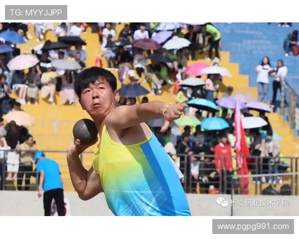北京体育风云直播:激情赛场,荣耀时刻 北京体育风云直播:激情赛场,荣耀时刻